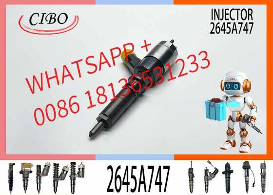 Prezzo buono 320-0680 10R-7672 Iniettore Common Rail di alta qualità 2645A747 3200680 10R7672 per Escavatore C4.4 C6.6 M316D M318D in linea