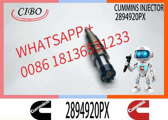 Goede prijs 2894920 5579415 2894920PX 2894920NX Dieselbrandstofinspuitmachine voor Cummins X15 ISX15 QSX15 ISX QSX ISXE CM2250 Meer serie motor online