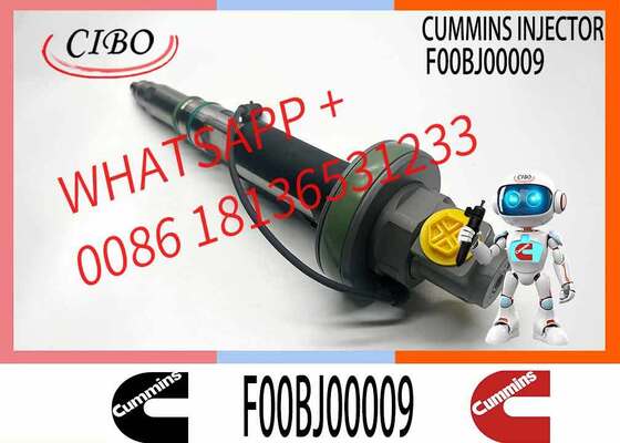 Harga bagus Grosir Injektor bahan bakar pengiriman cepat F00BJ00006 2881088 2867147 2882077 F00BJ00009 4964170 4955524 4955527 untuk QSK19 QSK38 QSX15 QSK60 on line