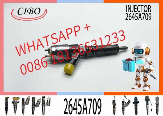 अच्छा दाम नया डीजल ईंधन इंजेक्टर 321-0990 2645A743 10R-7668 2645A705 2645A709 2645A731 C6.6 1106D के लिए ऑनलाइन
