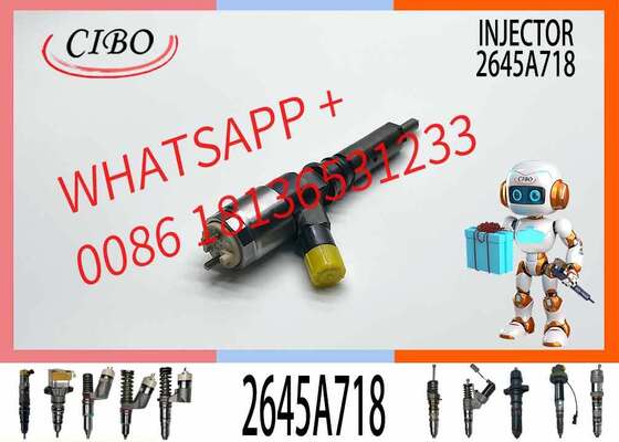 Bom preço 320d Injetor Diesel Injetor de combustível de trens comuns 292-3780 2923780 2645A718 para escavadeira C6.6 on-line
