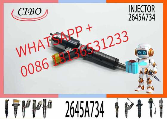 Giá tốt Kim phun đường ray chung C6.6 giá xuất xưởng, Kim phun nhiên liệu 321-3600 3213600 320-0655 2645A734 2645A746 trực tuyến