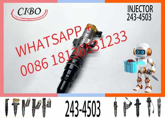 İyi fiyat 295 1409 Yakıt pompası enjeksiyonu 295-1409 243 4503 Common Rail enjeksiyonu 2434503 Dizel kamyon enjeksiyonu 2951409 243-4503 çevrimiçi