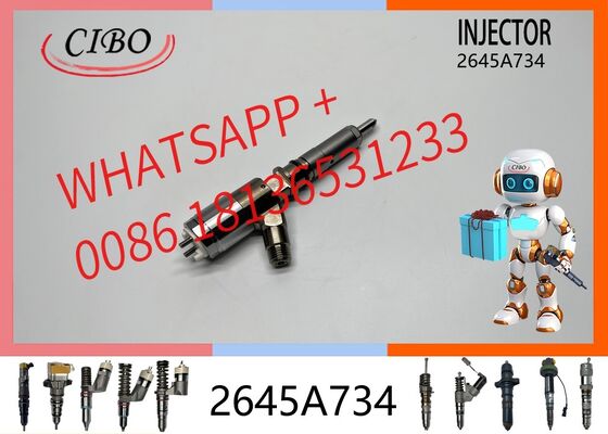 İyi fiyat Orijinal 2645A734 Dizel Motor Yakıt Enjektörü Yedek Parçaları 1104D-E44TA C6.5 C6.4 C4.4 C4.2 Ekskavatör Tamiri 2645A718 2645A747 292-3780 310-9067 10R-7672 orijinal yeni enjektör Çevrimiçi