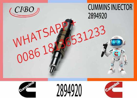 Giá tốt Cummins nguyên bản Fuel Injector 2894920 cho ISX15 QSX15 DC09 DC13 DC16 Động cơ diesel thay thế cho OEM 2488244 4327147 Chiếc máy đào Trực tuyến