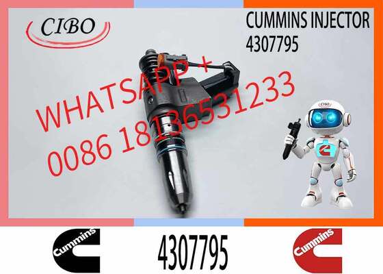 Giá tốt Kim phun dầu diesel Cummins chính hãng 4307795 thay thế cho phụ tùng kim phun dầu diesel Common Rail OEM cho động cơ diesel N14 QSN14 phụ kiện máy xúc tham chiếu chéo 3095086 3411691 3411759 3411764 chính hãng Trực tuyến