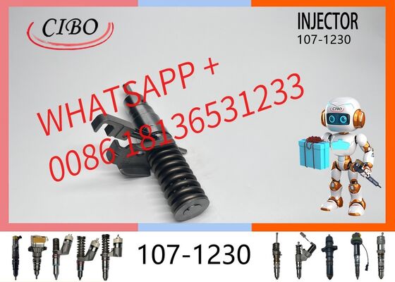 ভালো দাম মূল 107-1230 জ্বালানী পাম্প ইনজেক্টর উপাদান 3114 3116 C15 ডিজেল ইঞ্জিন E322C E325B Excavator খুচরা যন্ত্রাংশ নতুন ইনজেক্টর মূল নতুন মূল নতুন ইনজেক্টর অনলাইন