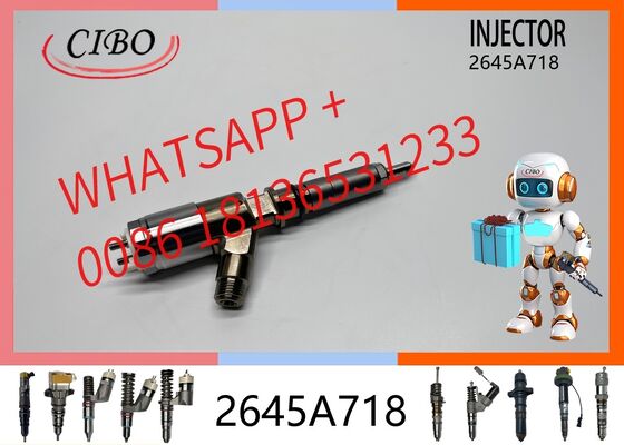 Giá tốt Kim phun dầu Diesel Common Rail 2645A718 2645A734 cho Máy xúc C6.6 C4.4 1104D-E44TA Sửa chữa 320-0680 292-3780 kim phun mới kim phun chính hãng mới Trực tuyến