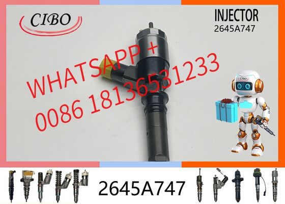 Good price original Common Rail Fuel Injector for C6.6 C4.4 Engine, primary part 2645A747, cross reference 10R-7672, compatible with Excavator replacement for OEM 320-0680 Diesel original new injector online
